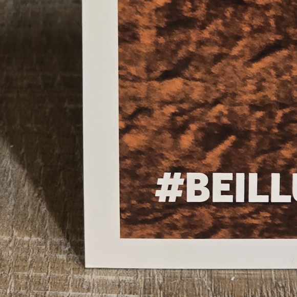 Ed Sheeran Signed Limited Edition 11"x17" 2013 Tour Poster #'d 5/350 - Picture 6 of 8